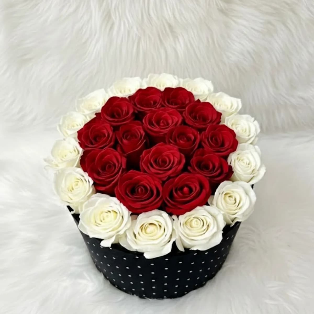 Premium Red and White Rose in Luxury Dotted Velvet Round Box