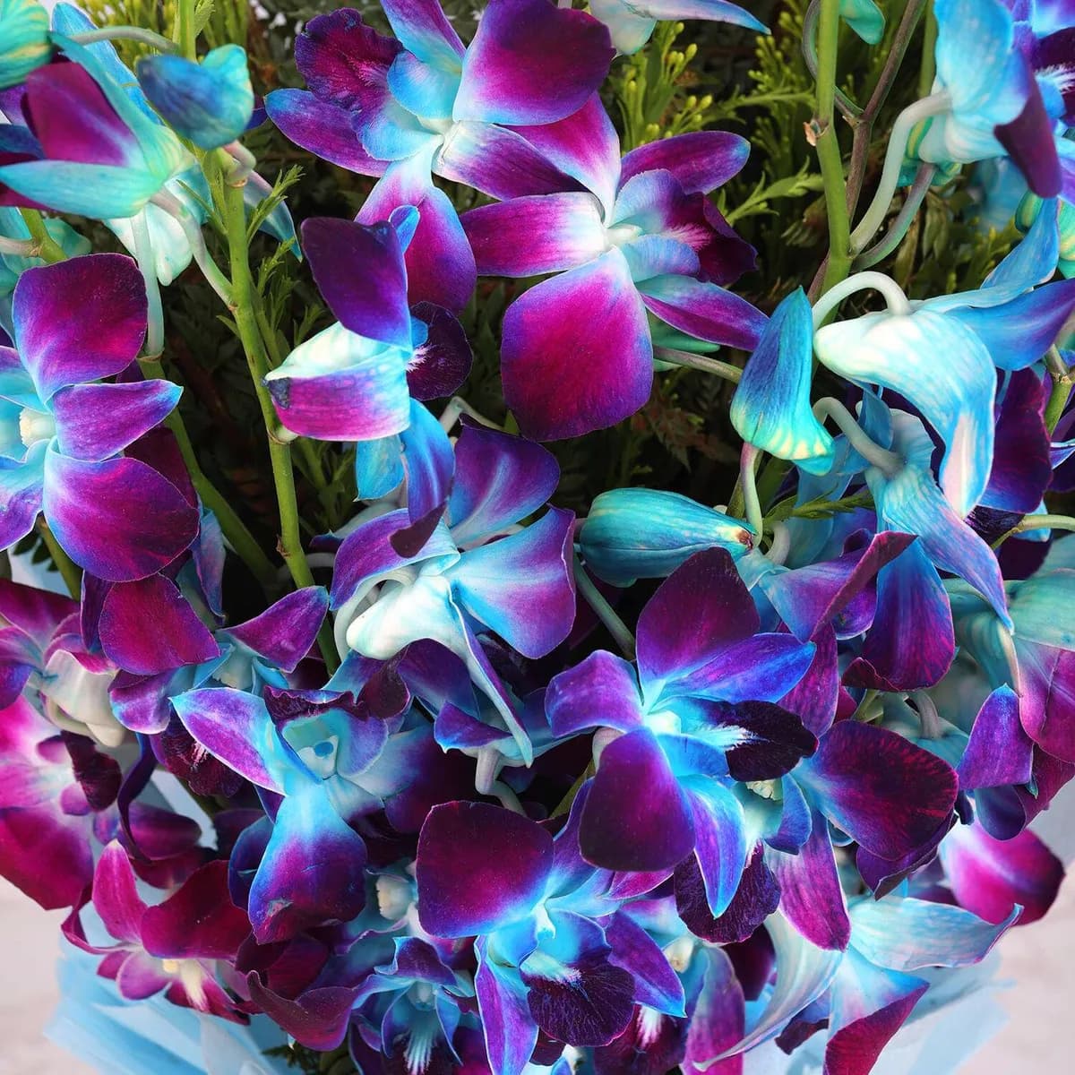 Elegant Blue Orchid Bouquet with Sky-Blue Wrap
