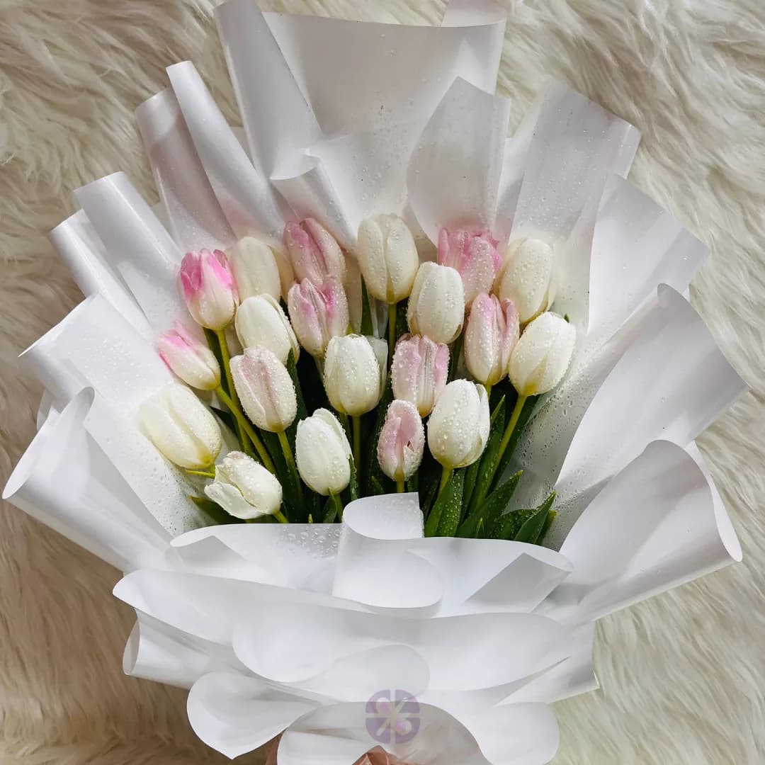Luxury 20 Fresh White and Baby Pink Tulip Hand Bouquet