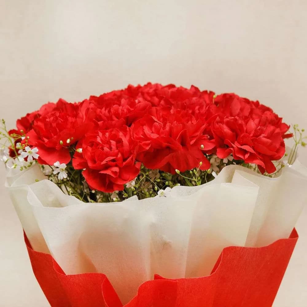 Red Carnation Bouquet