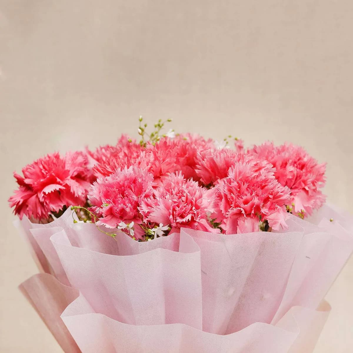 Charming Pink Carnation Bouquet – Wrapped with Love & Elegance
